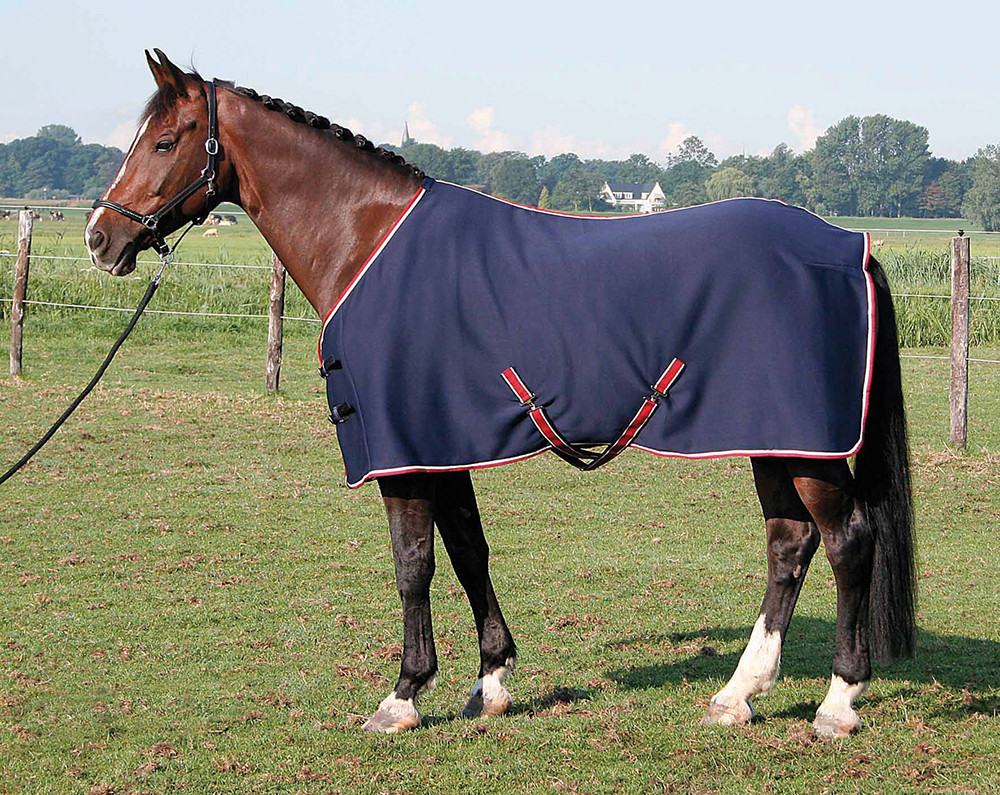 Harry's Horse Jersey cooler 